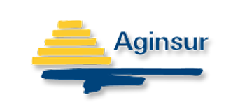Aginsur Madrid